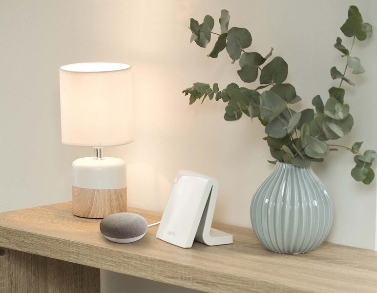 google assistant somfy