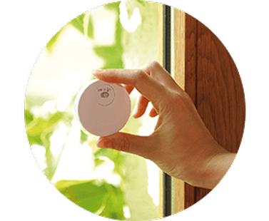 Light and temperature